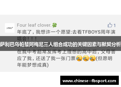 萨利巴乌帕楚阿梅尼三人组合成功的关键因素与默契分析